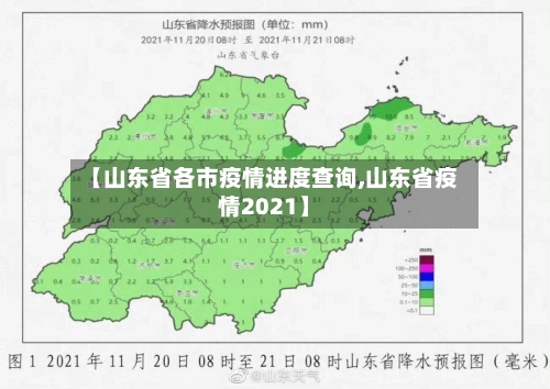 【山东省各市疫情进度查询,山东省疫情2021】-第1张图片
