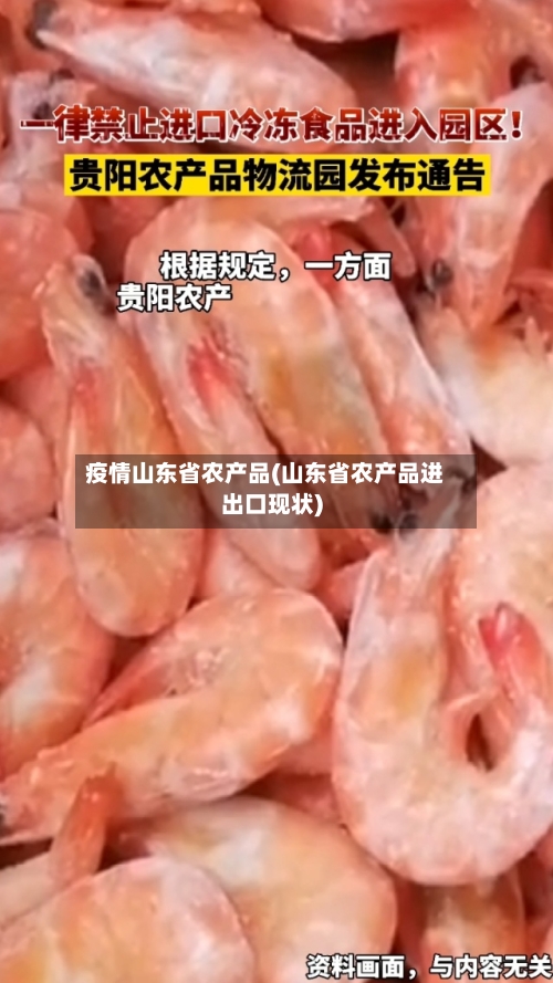 疫情山东省农产品(山东省农产品进出口现状)-第1张图片