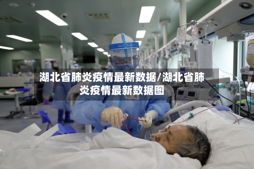 湖北省肺炎疫情最新数据/湖北省肺炎疫情最新数据图-第1张图片