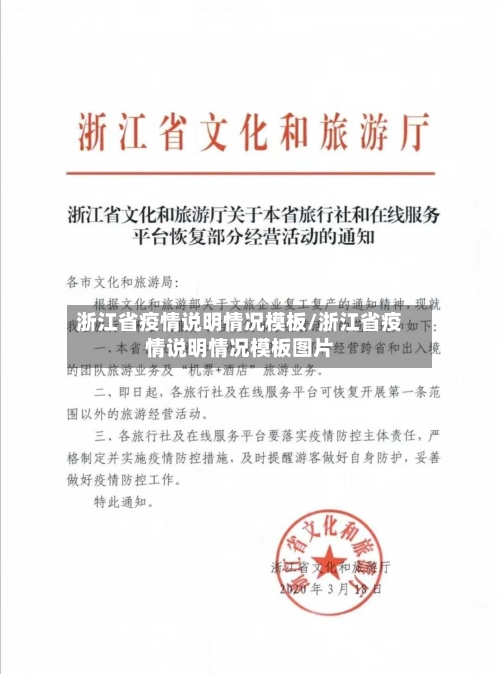 浙江省疫情说明情况模板/浙江省疫情说明情况模板图片-第1张图片