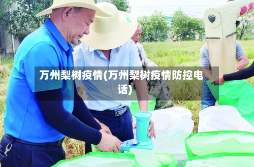 万州梨树疫情(万州梨树疫情防控电话)-第1张图片
