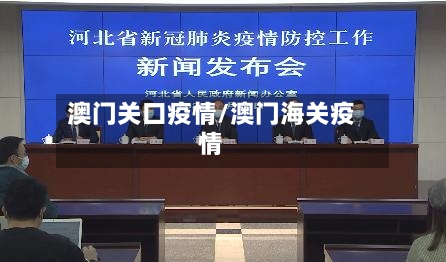 澳门关口疫情/澳门海关疫情-第3张图片