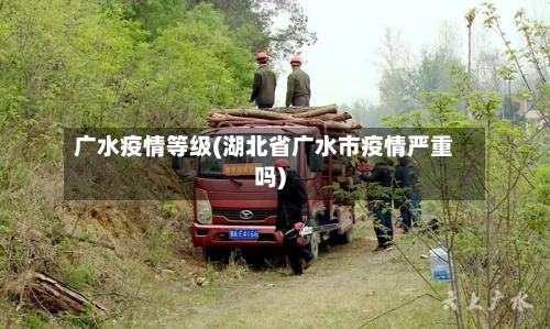 广水疫情等级(湖北省广水市疫情严重吗)-第1张图片