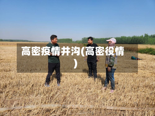 高密疫情井沟(高密役情)-第2张图片