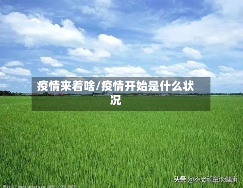 疫情来着啥/疫情开始是什么状况-第2张图片