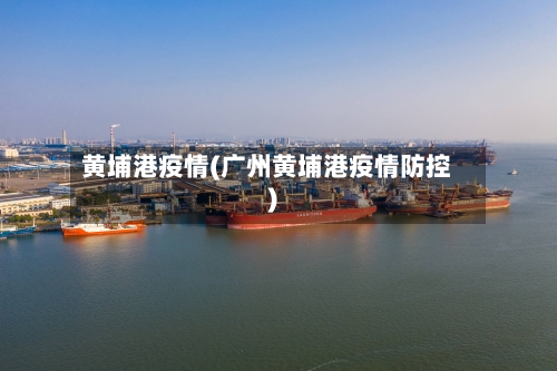 黄埔港疫情(广州黄埔港疫情防控)-第3张图片
