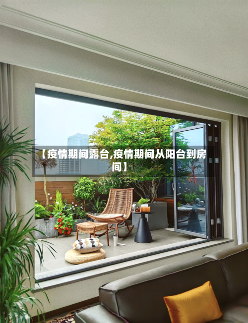 【疫情期间露台,疫情期间从阳台到房间】-第1张图片