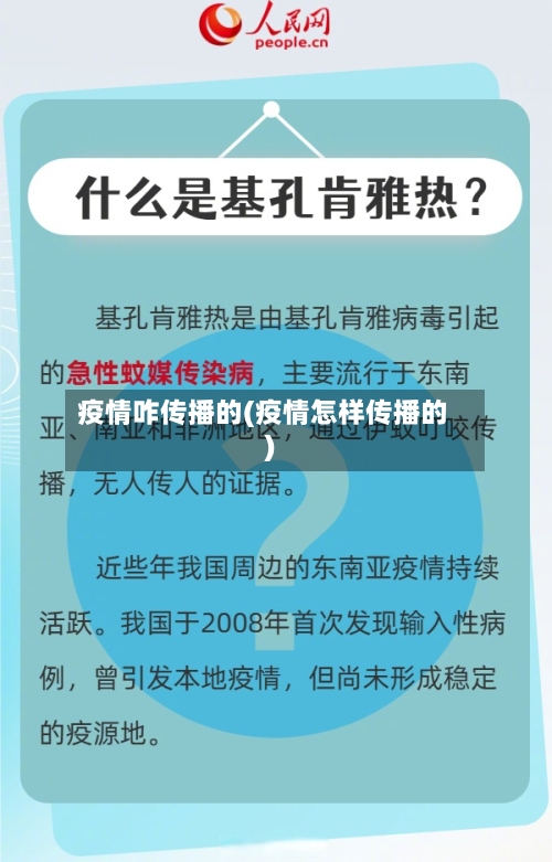 疫情咋传播的(疫情怎样传播的)-第1张图片