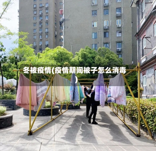 冬被疫情(疫情期间被子怎么消毒)-第2张图片