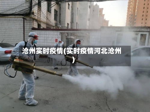 沧州实时疫情(实时疫情河北沧州)-第3张图片