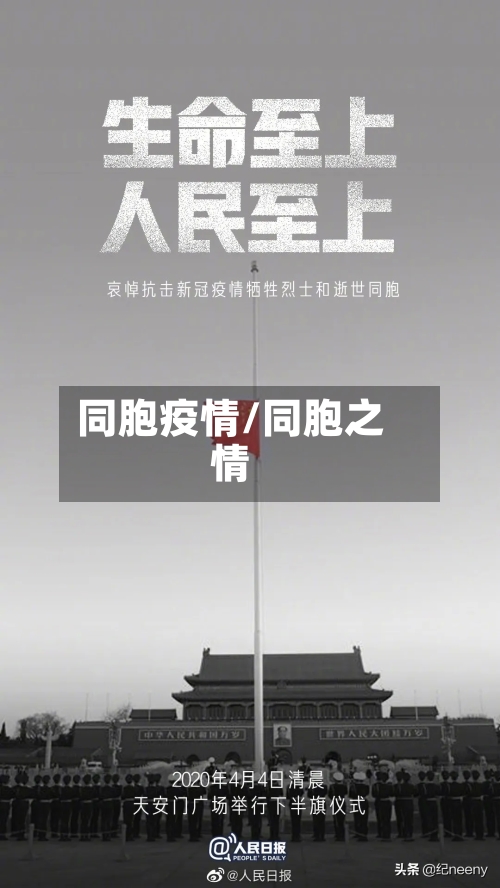 同胞疫情/同胞之情-第1张图片