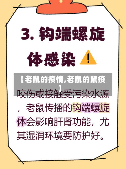 【老鼠的疫情,老鼠的鼠疫】-第3张图片