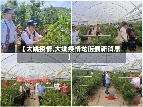 【大姚疫情,大姚疫情龙街最新消息】-第2张图片