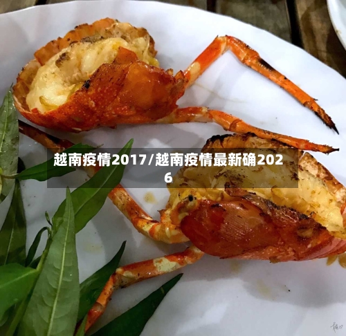 越南疫情2017/越南疫情最新确2026-第1张图片