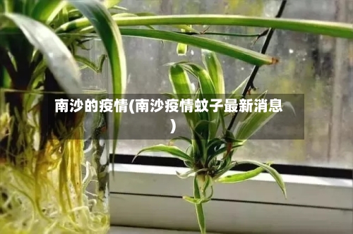 南沙的疫情(南沙疫情蚊子最新消息)-第2张图片