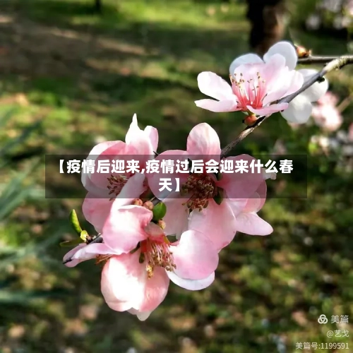 【疫情后迎来,疫情过后会迎来什么春天】-第2张图片