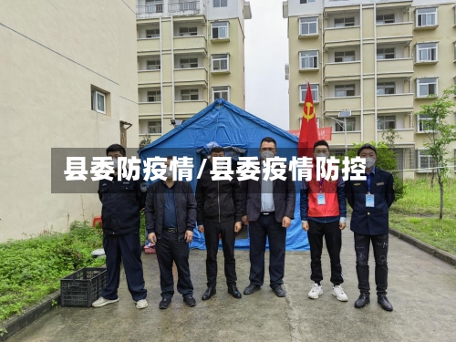 县委防疫情/县委疫情防控-第2张图片