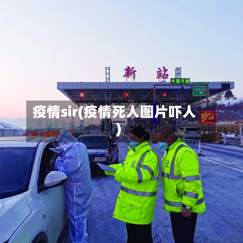 疫情sir(疫情死人图片吓人)-第2张图片