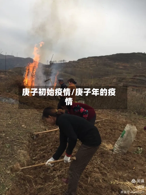 庚子初始疫情/庚子年的疫情-第1张图片