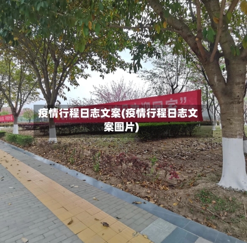 疫情行程日志文案(疫情行程日志文案图片)-第1张图片