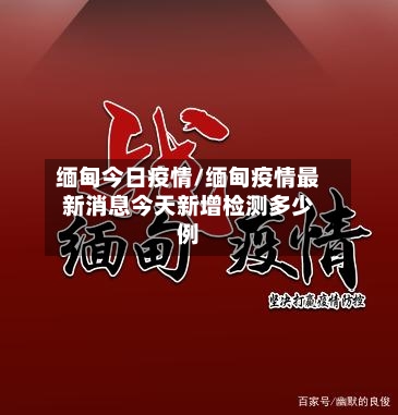 缅甸今日疫情/缅甸疫情最新消息今天新增检测多少例-第3张图片