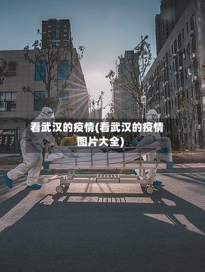 看武汉的疫情(看武汉的疫情图片大全)-第2张图片