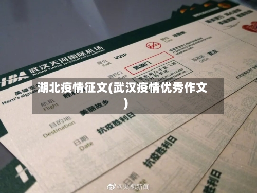 湖北疫情征文(武汉疫情优秀作文)-第2张图片