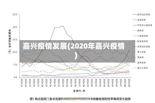 嘉兴疫情发展(2020年嘉兴疫情)-第2张图片