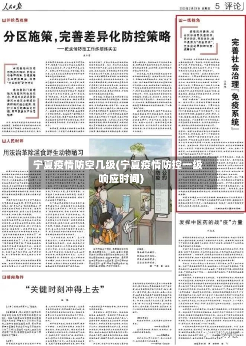 宁夏疫情防空几级(宁夏疫情防控一级响应时间)-第1张图片