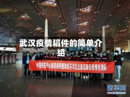 武汉疫情稿件的简单介绍-第1张图片