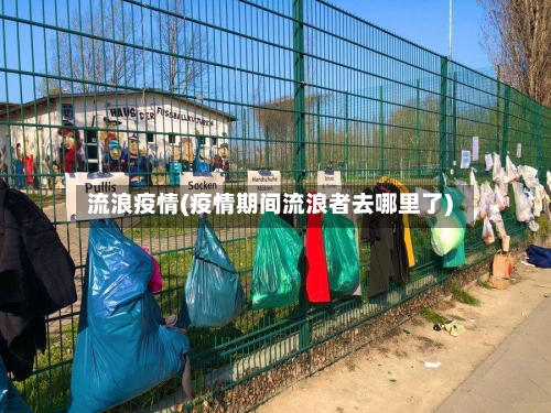 流浪疫情(疫情期间流浪者去哪里了)-第2张图片