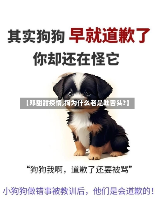 【邓甜甜疫情,狗为什么老是吐舌头?】-第1张图片
