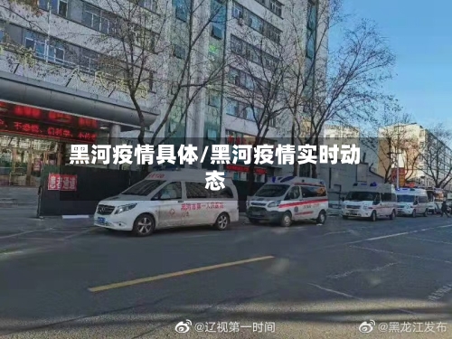 黑河疫情具体/黑河疫情实时动态-第2张图片