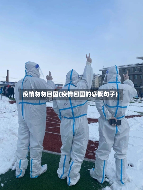 疫情匆匆回国(疫情回国的感慨句子)-第1张图片