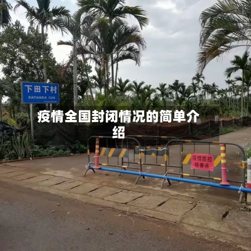疫情全国封闭情况的简单介绍-第2张图片