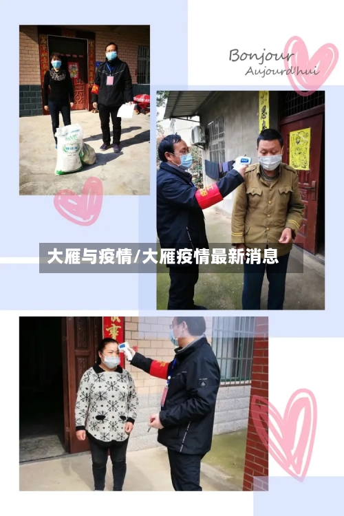 大雁与疫情/大雁疫情最新消息-第1张图片