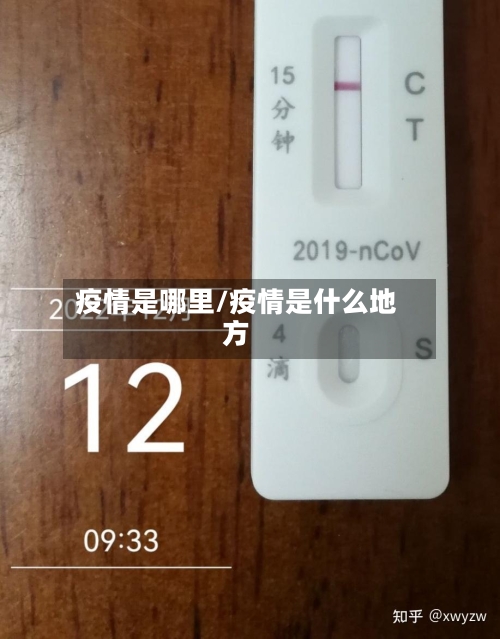 疫情是哪里/疫情是什么地方-第2张图片