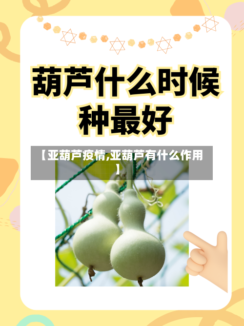 【亚葫芦疫情,亚葫芦有什么作用】-第1张图片