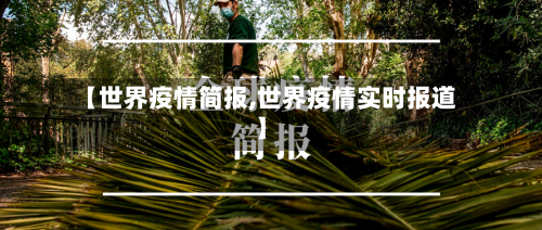 【世界疫情简报,世界疫情实时报道】-第3张图片