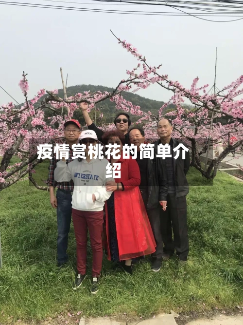疫情赏桃花的简单介绍-第2张图片