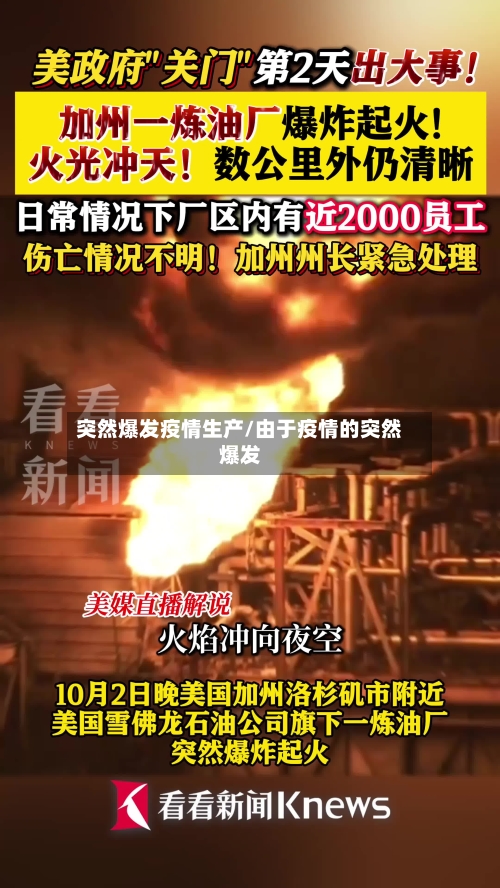 突然爆发疫情生产/由于疫情的突然爆发-第2张图片