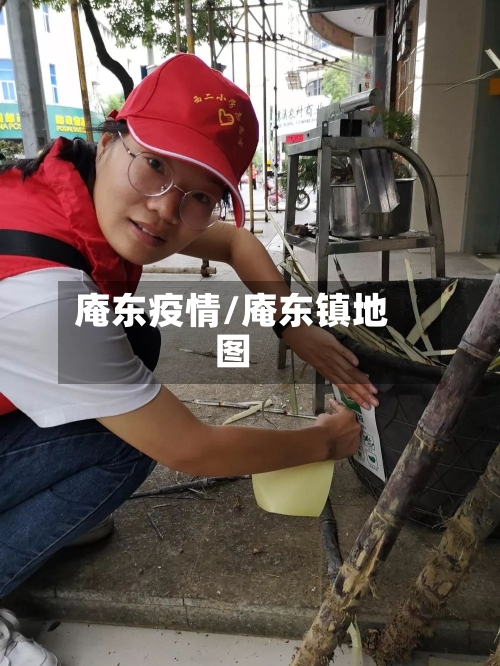 庵东疫情/庵东镇地图-第3张图片