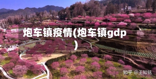 炮车镇疫情(炮车镇gdp)-第2张图片