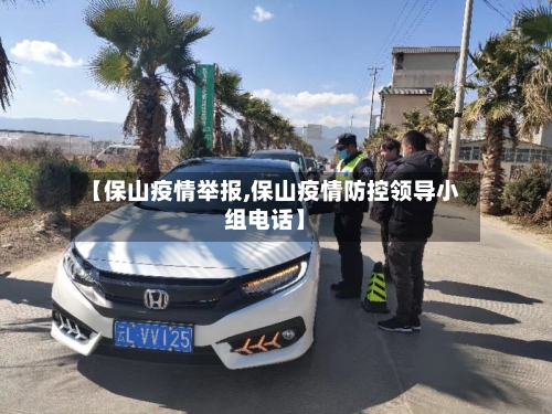 【保山疫情举报,保山疫情防控领导小组电话】-第1张图片