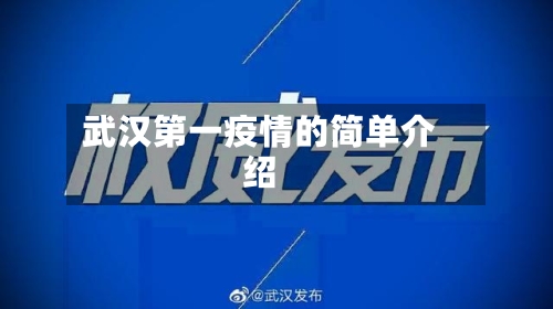 武汉第一疫情的简单介绍-第2张图片