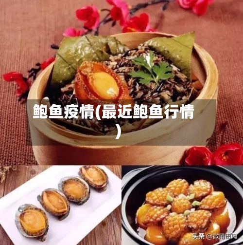 鲍鱼疫情(最近鲍鱼行情)-第2张图片