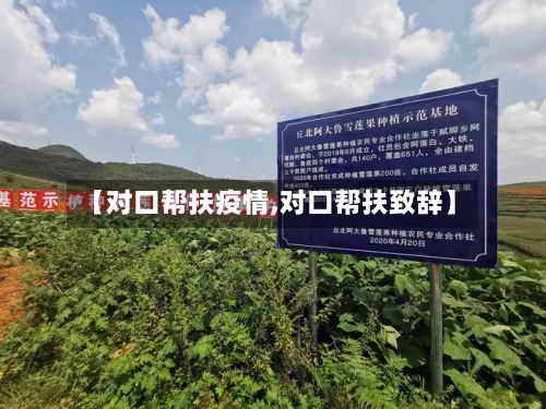【对口帮扶疫情,对口帮扶致辞】-第2张图片