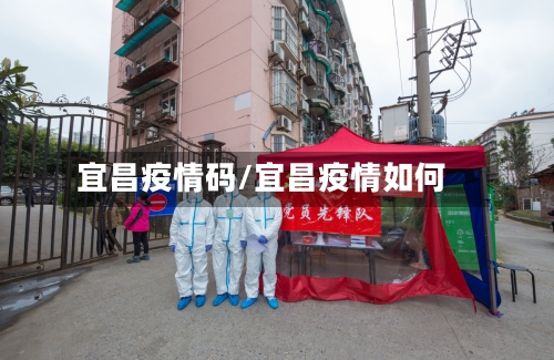 宜昌疫情码/宜昌疫情如何-第3张图片