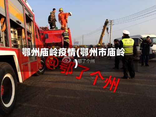 鄂州庙岭疫情(鄂州市庙岭)-第2张图片
