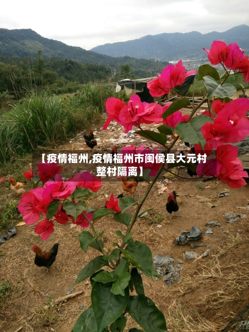 【疫情福州,疫情福州市闽侯县大元村整村隔离】-第1张图片